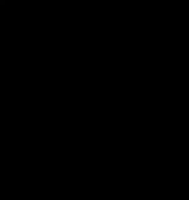 Terebelo